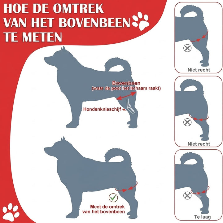 Verstelbare Kniebrace voor Honden - Pootbeschermer voor Herstel en Ondersteuning